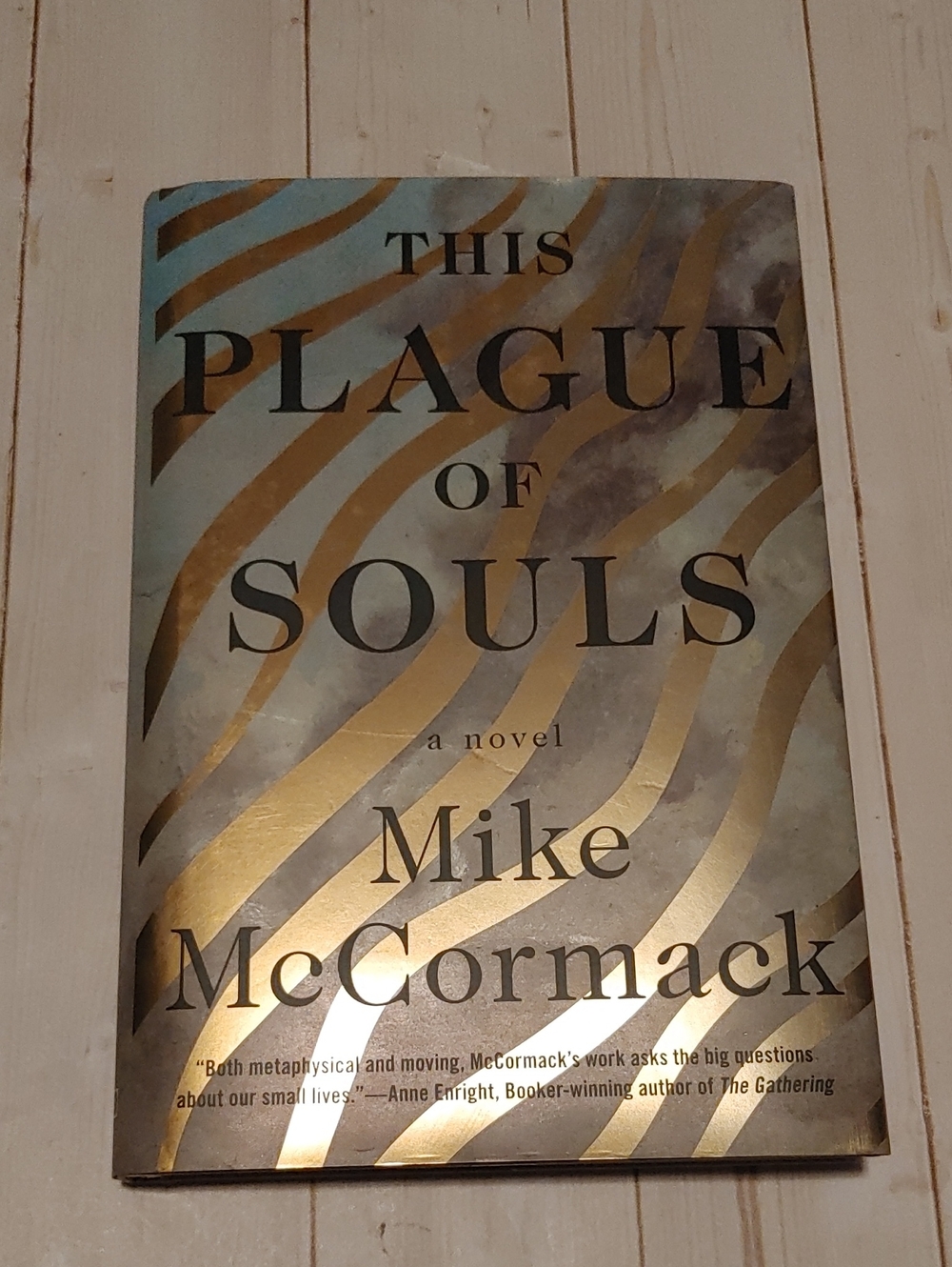 The Plaque Of Souls Adult Fiction Novel Book By Mike McCormack